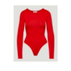Aritizia babaton contour crew neck bodysuit